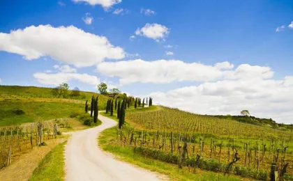 Chianti E-Bike from San Gimignano