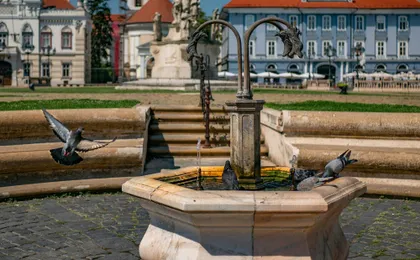 Timisoara best intro walking tour with a local