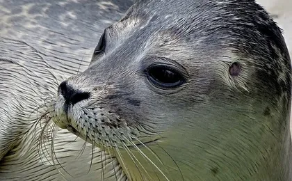 Day trip to the Island of Texel with a guide