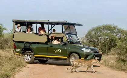 Kruger National Park full-day safari from Hazyview
