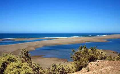 Peninsula Valdes and sea lions reserve tour from Puerto Madryn
