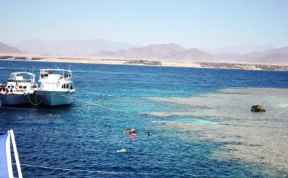 Half-day snorkeling boat trip in Sharm El Sheikh with lunch and drinks