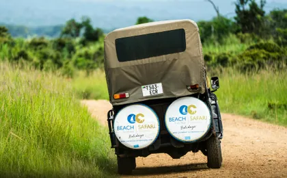 Mikumi National Park one-day safari with flights from Zanzibar
