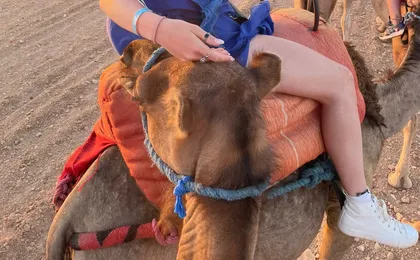 Agafay desert private sunset camel ride from Marrakech