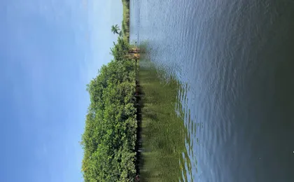 Everglades Tour from Miami