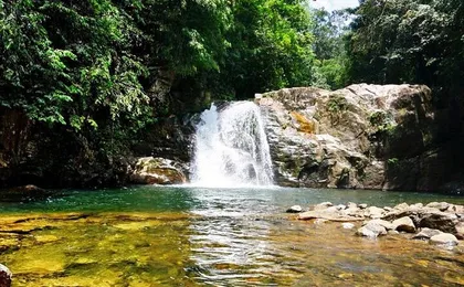 Sinharaja Rain Forest Tour from Tangalle