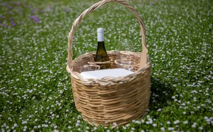 Sunset Experience on Lipari Island with Vineyard Picnic