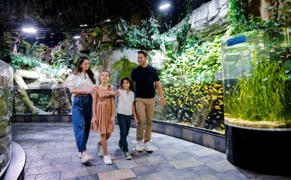 Burj Khalifa floors 124, 125 and Dubai Aquarium tickets